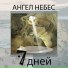 Ангел НеБес