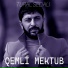 Tural Sedalı