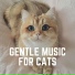 Music for Cats Peace