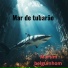 Martim belguinhom