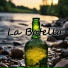 Luis Borwen Jr, Los Incateños, Julio Miguel