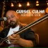 Gürsel Çulha
