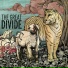 The Great Divide