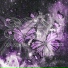Kazeem, T-flex