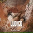 Ludico
