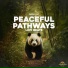 Panda Lofi, Panda Study, Panda Music