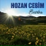 Hozan Cesim