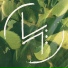 SAWARO
