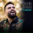 Shahin Banan