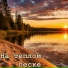 Светлана Элиен