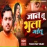 Voice Star Vikash