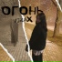 viraX