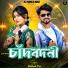 Bibhash Das