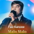 Faiz Karezee