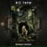 Die Form