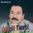 Djilali Tiarti
