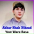 Akbar Shah Nikzad