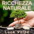 Luca Volpe