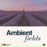 Ambient Music Collective