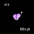 aceplugg