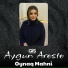 Aygun Areste