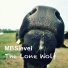 MBSLevel