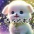 石忠宇