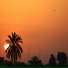 Shahrouz Ejmali