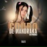 MC Pipokinha, DJ Paulinho