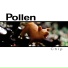 Pollen