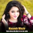 Naseeb Wazir