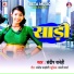 Sandeep Sanehi