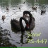 Suvor