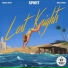 Lost Knights feat. Taylor Tote, Max Viner