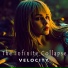 Velocity
