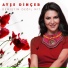 Ayse Dincer