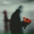 SØK