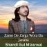 Shandi Gul Mizarwal