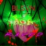 BLSVN