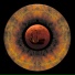 Norganta