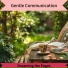 Gentle Communication