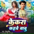 Chhotu Chhaliya