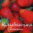 Fremonic