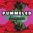 Pummeled