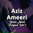 Aziz Ameeri