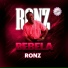 RONZ
