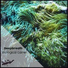 Deepbreath