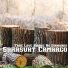 Sarasvat Camargo