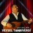 Veysel Tanrıverdi