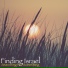 Finding Israel